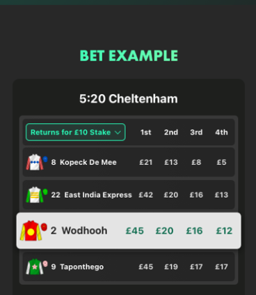 bet365 horse racing betting